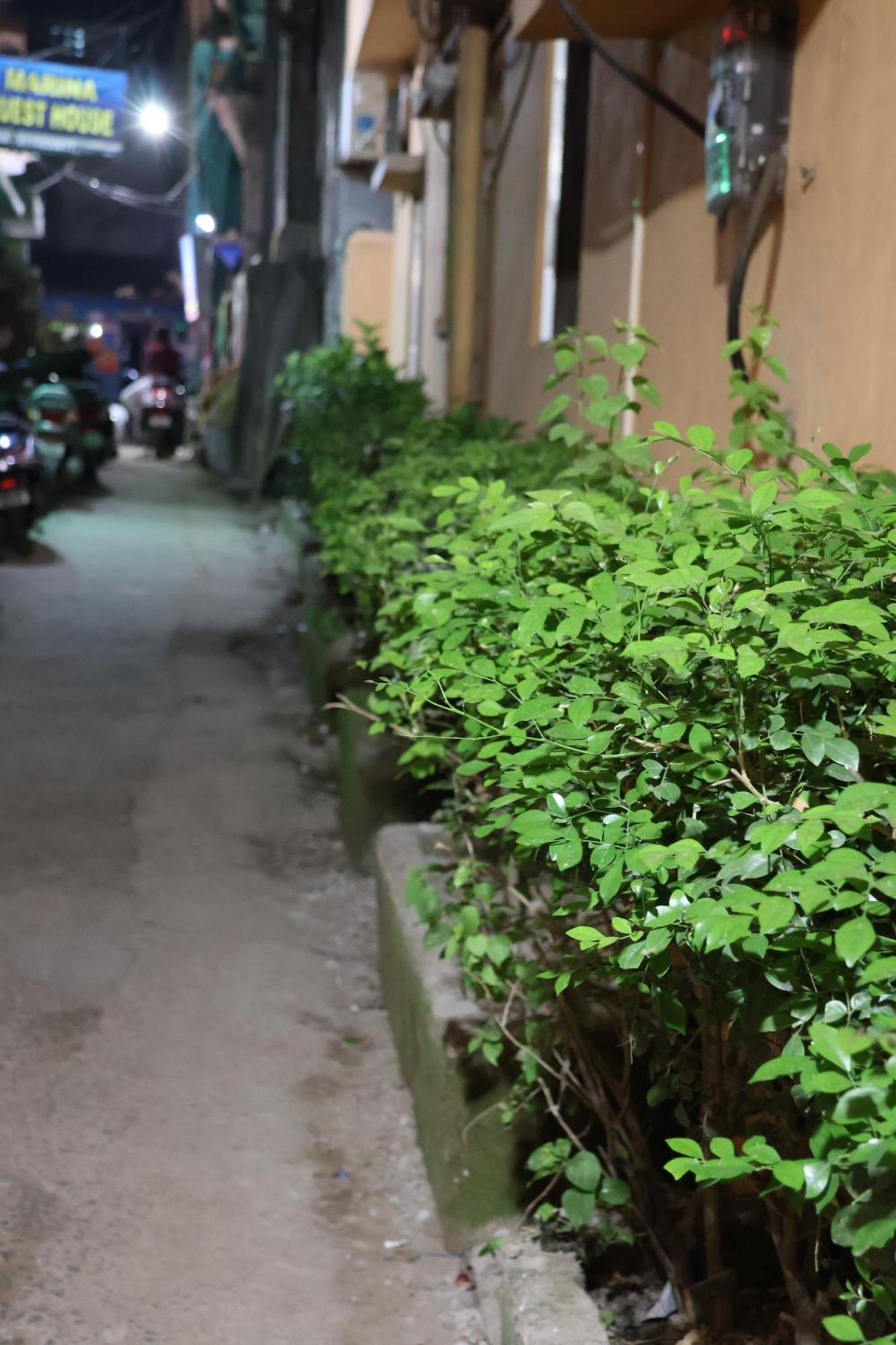 Raghunandan Residency * Puri
